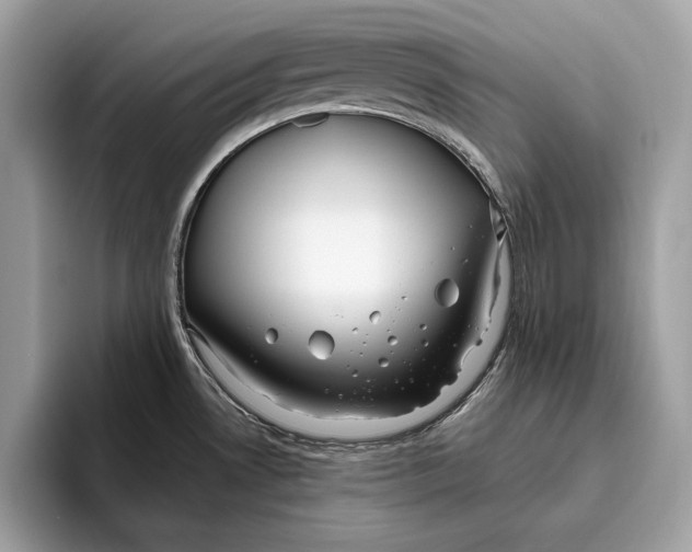 X0000096431530200802141422