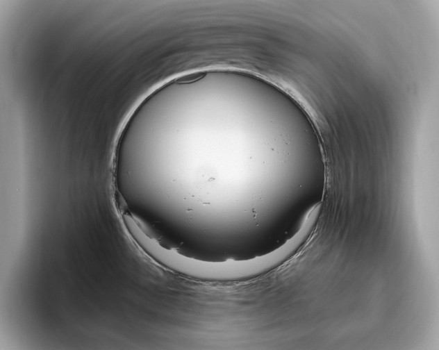 X0000096431532200802141422
