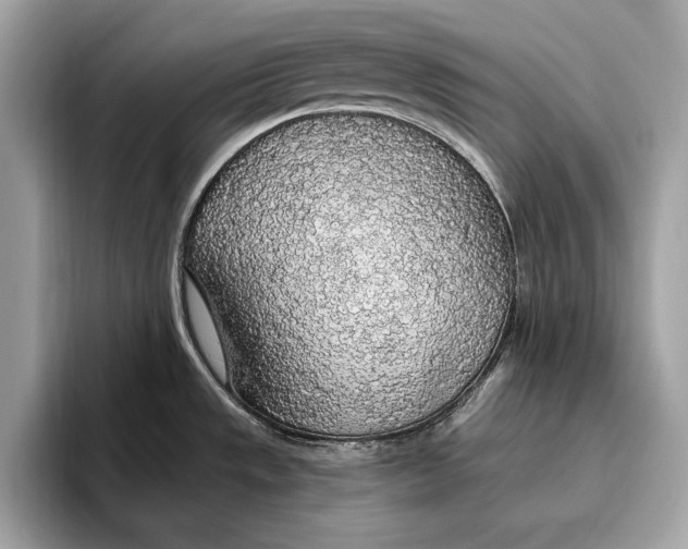 X0000096431533200802141422