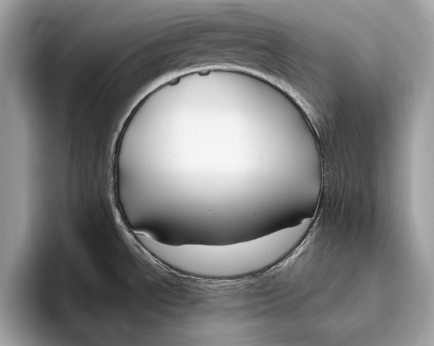 X0000096431534200802141422
