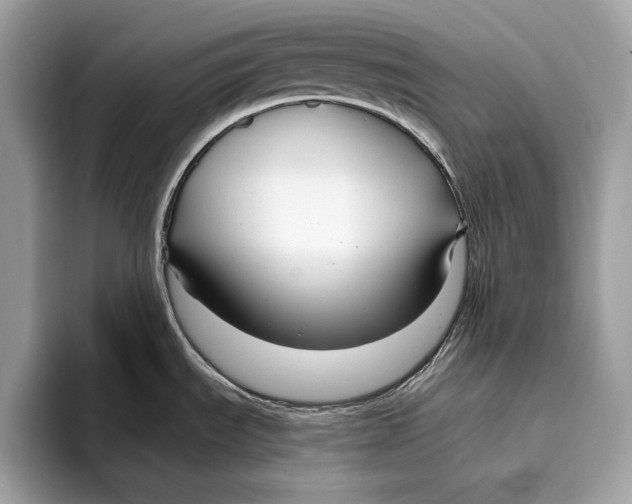 X0000096431535200802141422