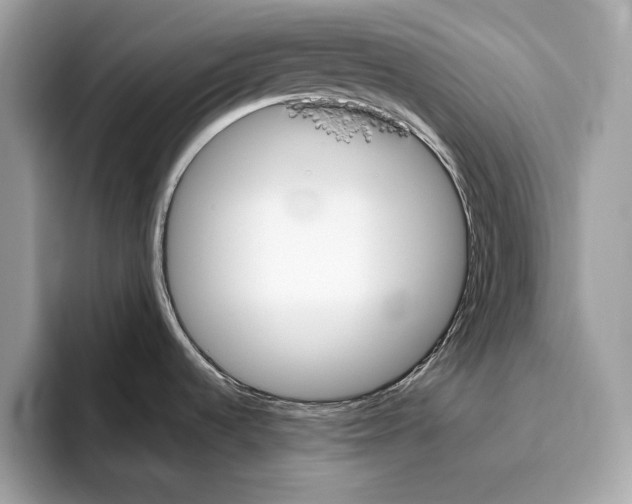 X0000096431536200802141422