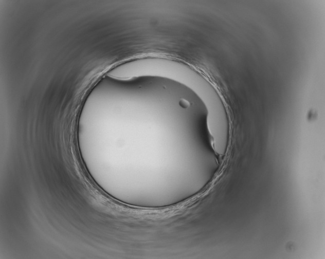 X0000096430001200802211158