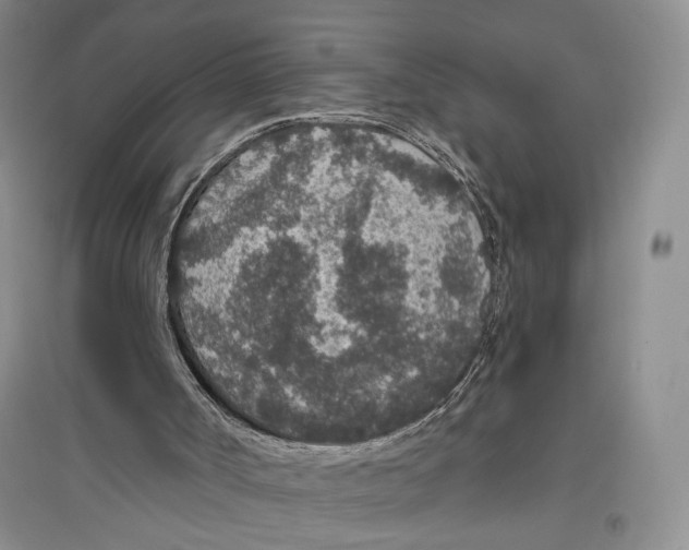 X0000096430002200802211158