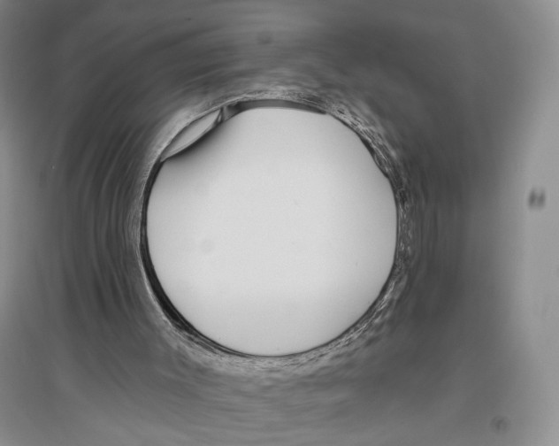X0000096430003200802211158