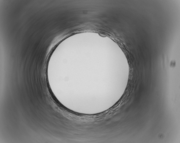 X0000096430004200802211158
