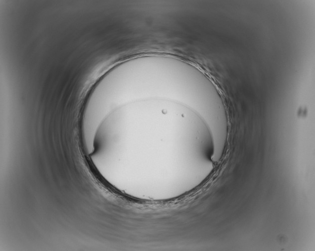 X0000096430005200802211158