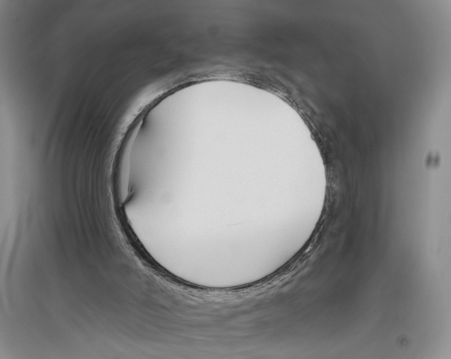 X0000096430006200802211158