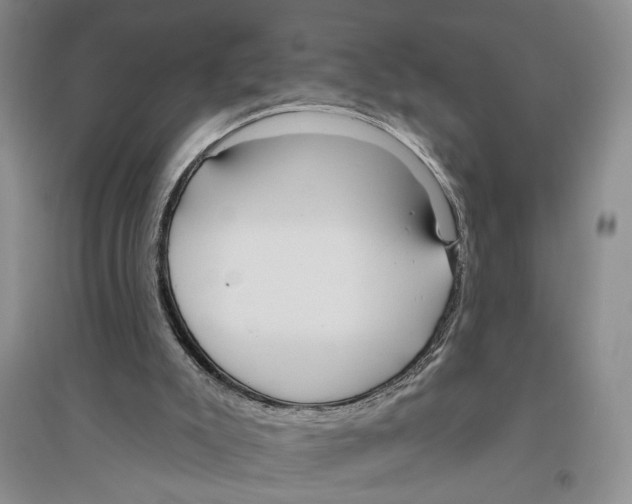 X0000096430007200802211158