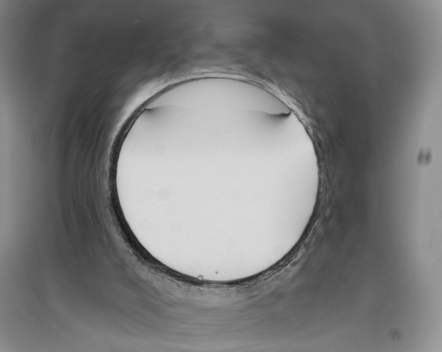 X0000096430008200802211158