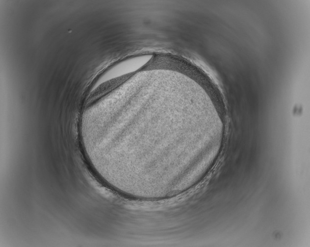 X0000096430009200802211158