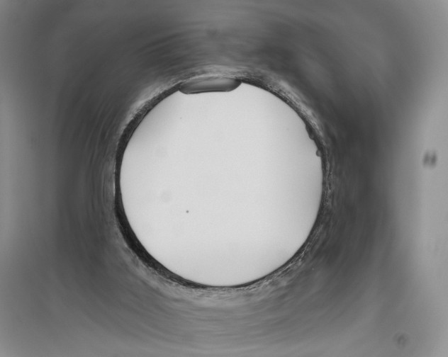 X0000096430011200802211158