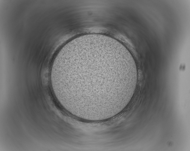 X0000096430012200802211158
