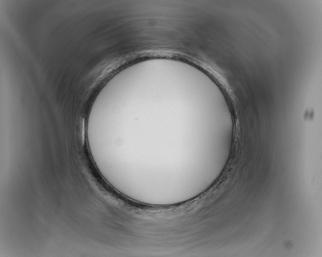 X0000096430013200802211157