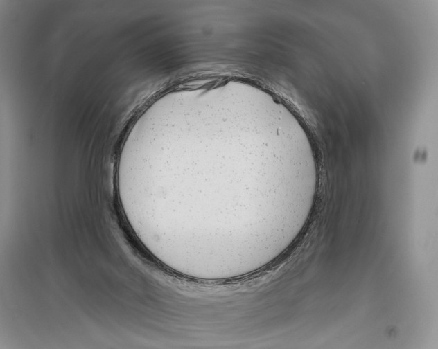 X0000096430014200802211157