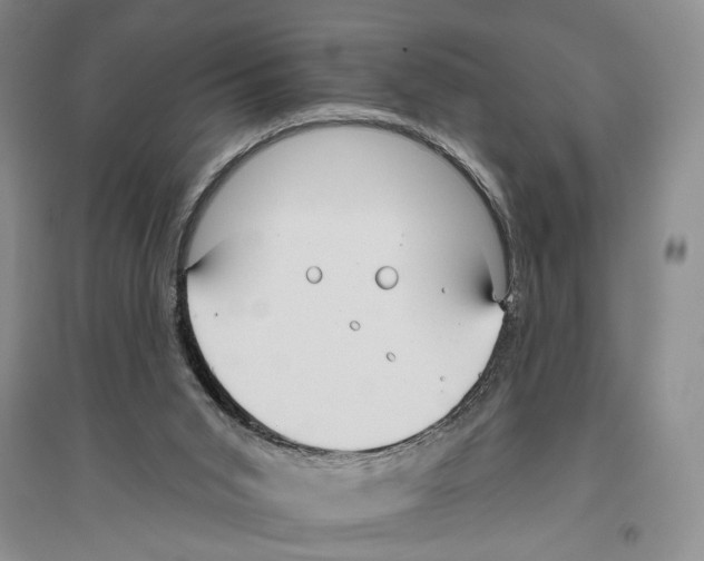 X0000096430015200802211157