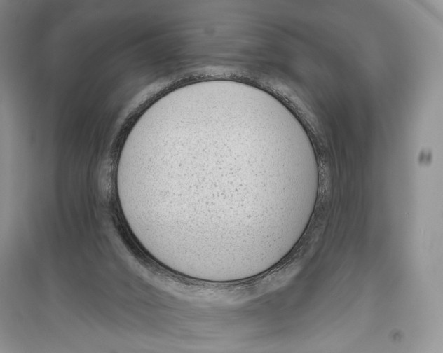 X0000096430016200802211157