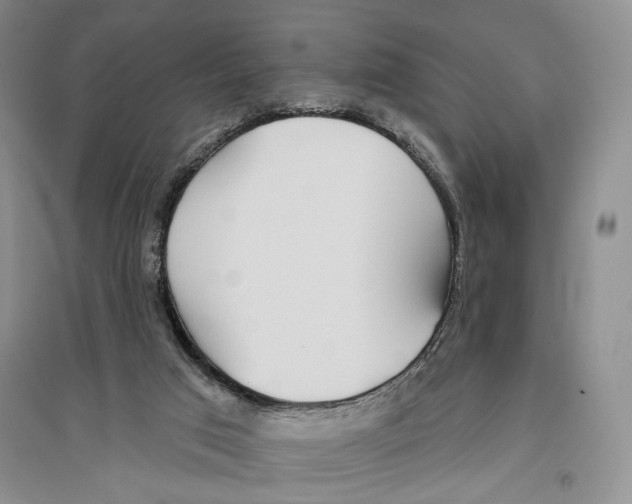 X0000096430017200802211157