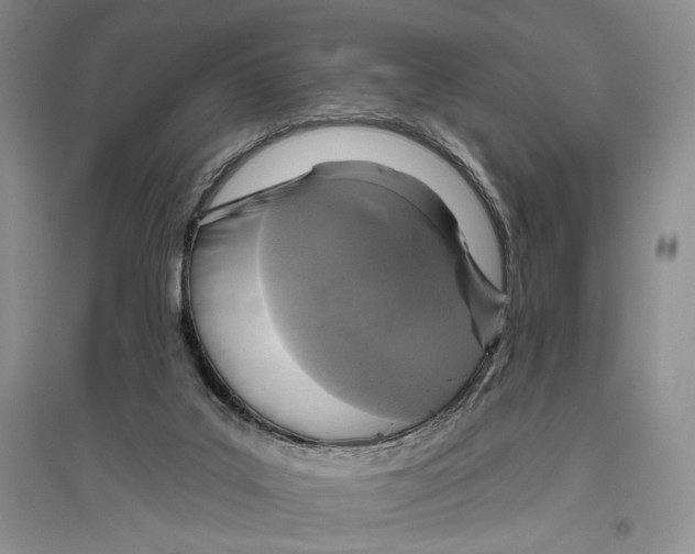 X0000096430019200802211157
