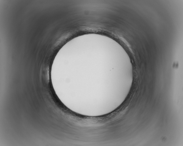 X0000096430020200802211157