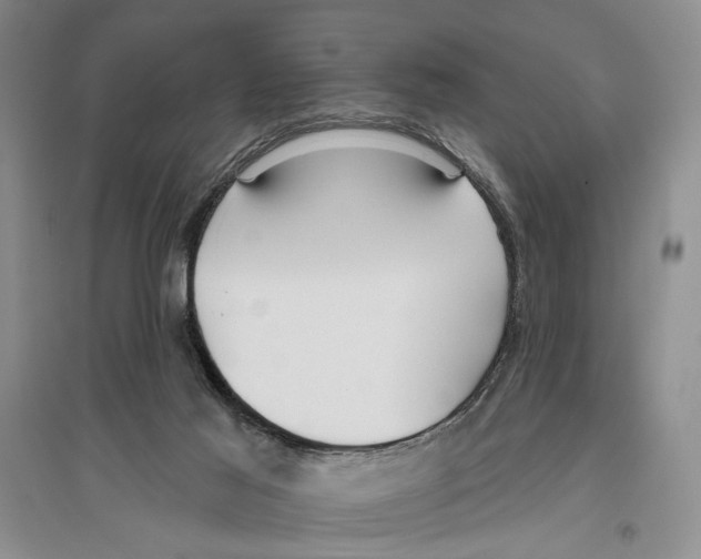 X0000096430021200802211157