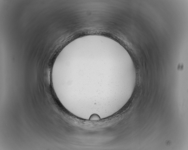 X0000096430022200802211157