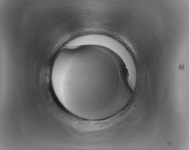 X0000096430023200802211157