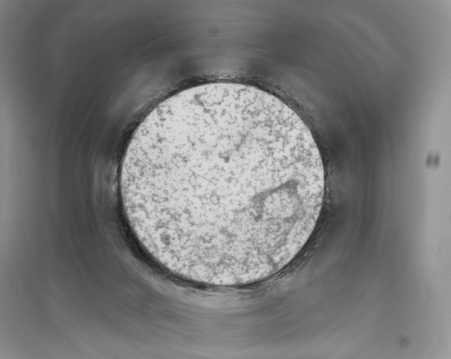 X0000096430024200802211157