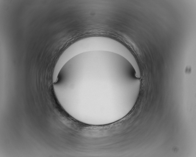 X0000096430025200802211157