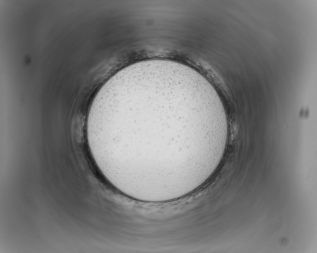 X0000096430026200802211157