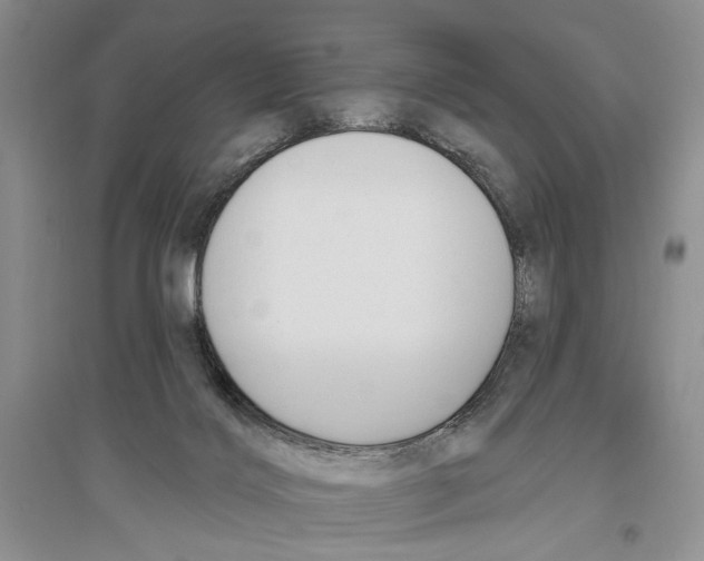 X0000096430028200802211157