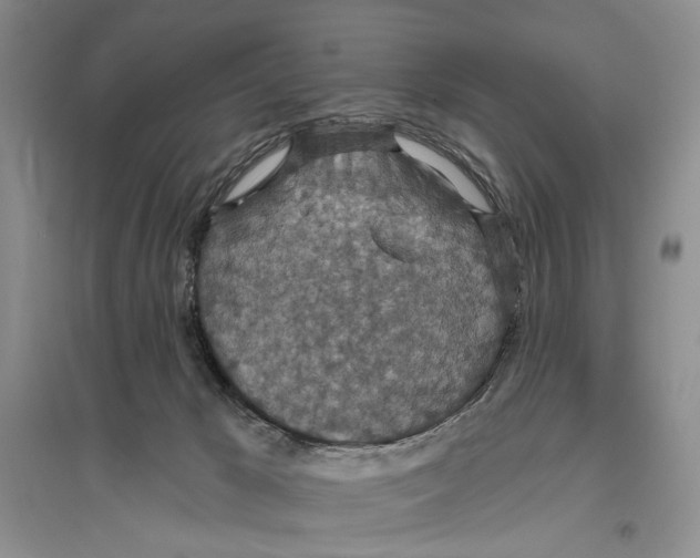 X0000096430029200802211157