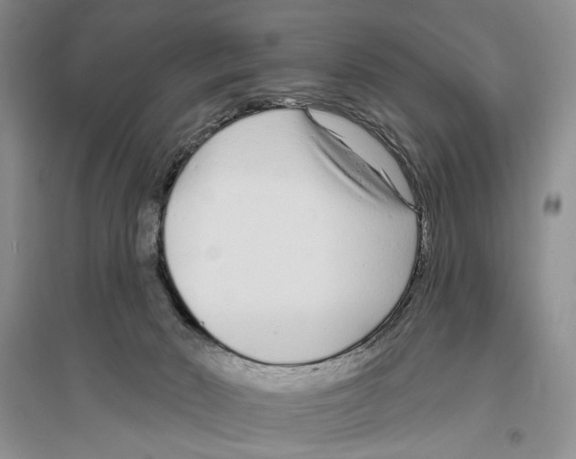 X0000096430030200802211157