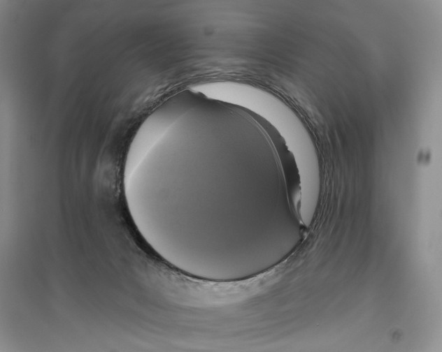 X0000096430031200802211157