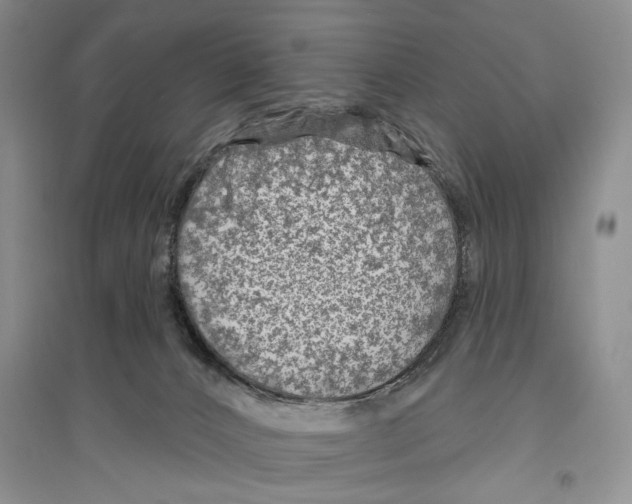 X0000096430032200802211157