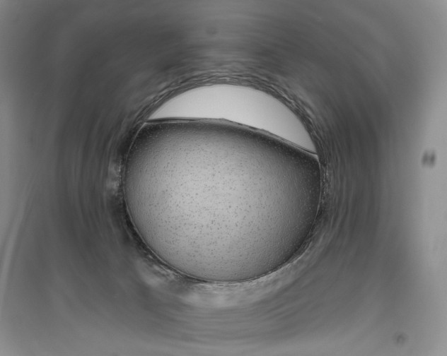 X0000096430033200802211157