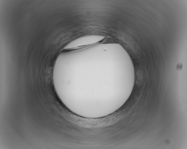 X0000096430034200802211157