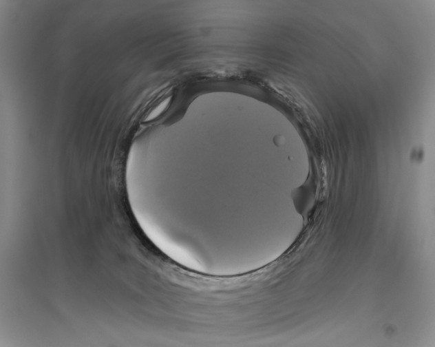 X0000096430035200802211157
