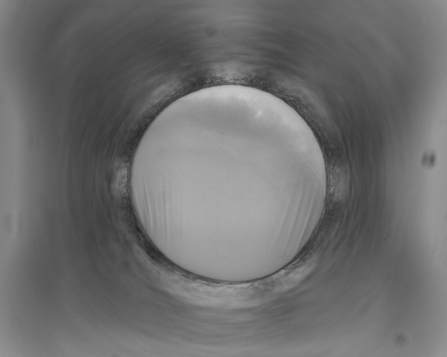 X0000096430036200802211157