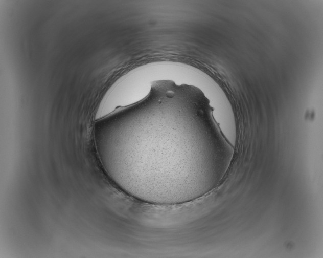 X0000096430037200802211157