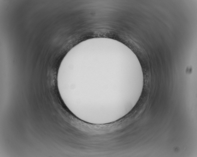 X0000096430038200802211157