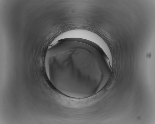 X0000096430039200802211157