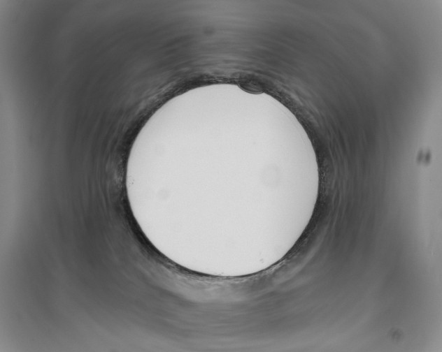 X0000096430040200802211157