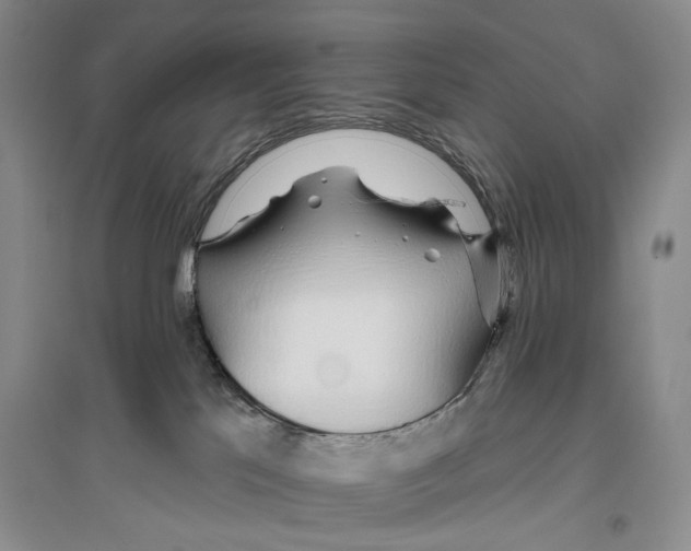 X0000096430041200802211157