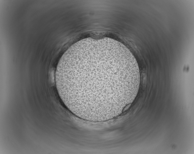 X0000096430042200802211157