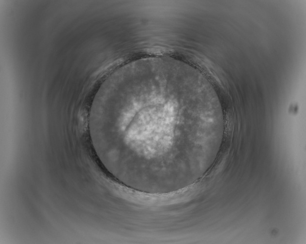 X0000096430043200802211157