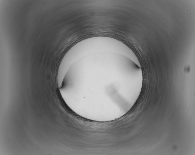 X0000096430044200802211157