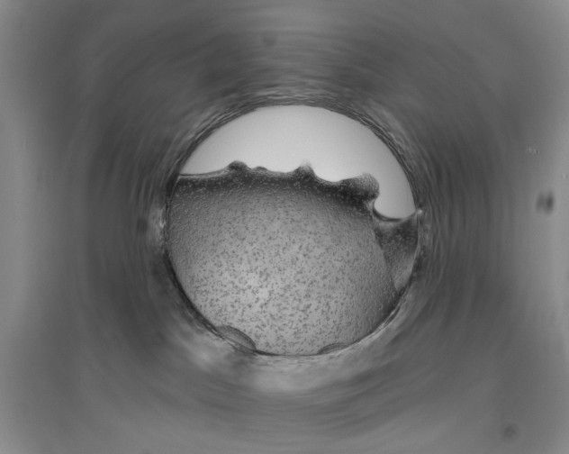 X0000096430045200802211157
