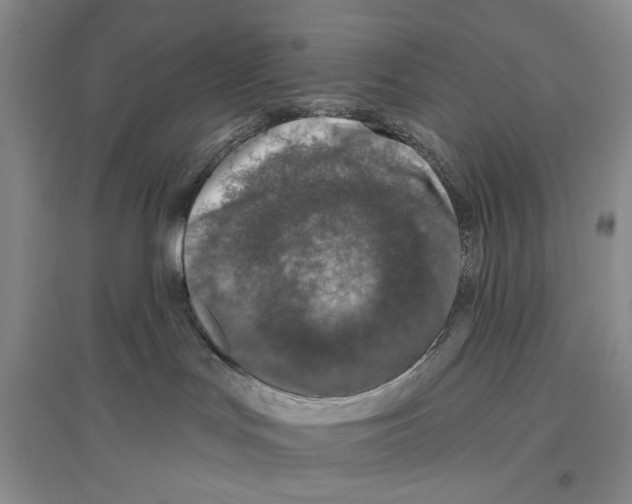 X0000096430047200802211157