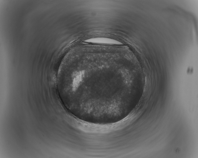 X0000096430048200802211157